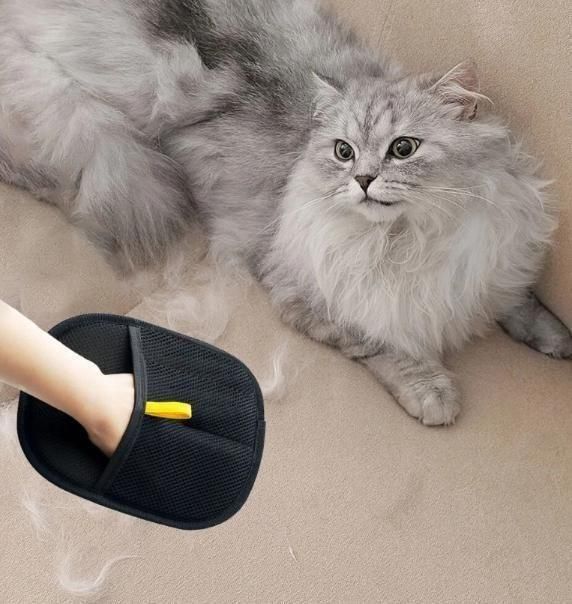 Cat laying on sofaand pet hair remover gloves use for removing hair from sofa