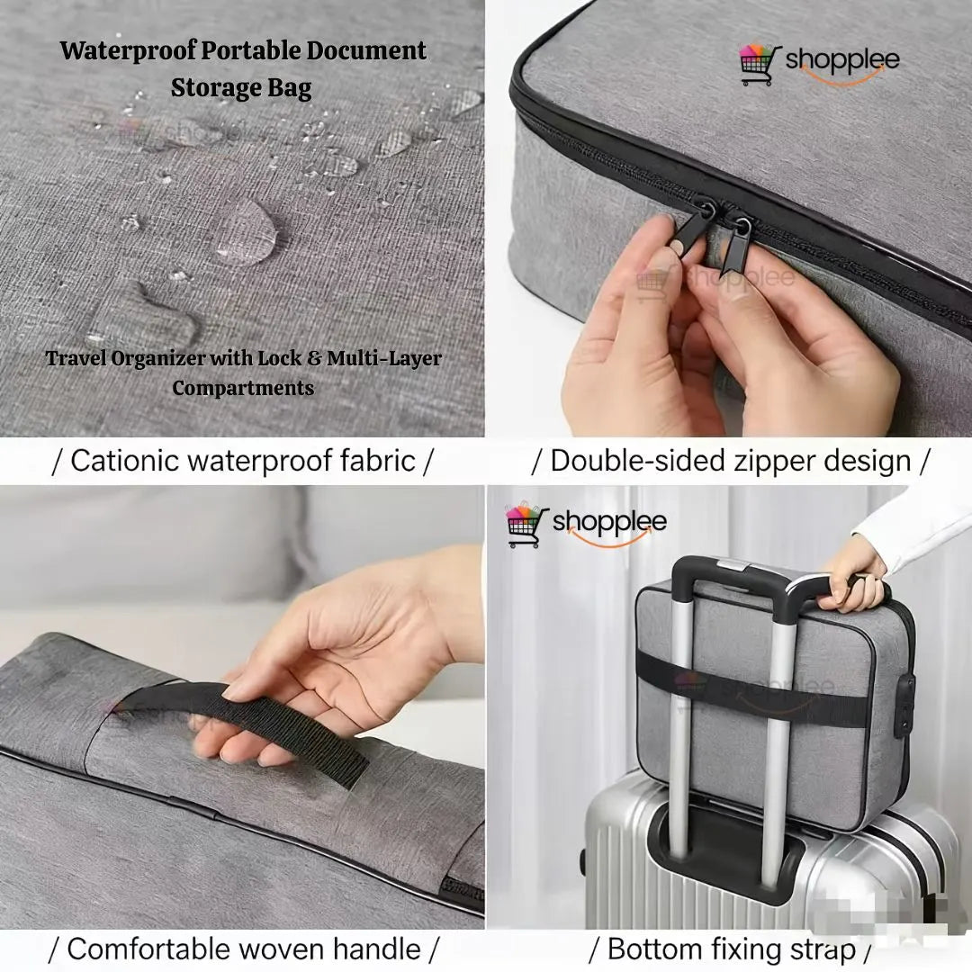 Portable document organizer with multiple compartments 